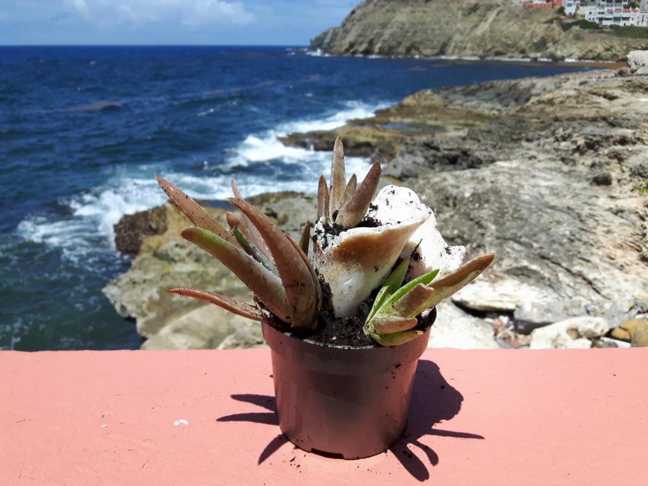 Ocean Shore Philipsburg  Bagian luar foto